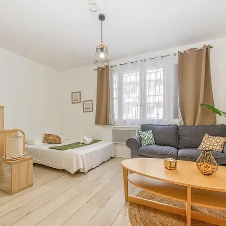 Appartement Le Petit Cosy Grenoble